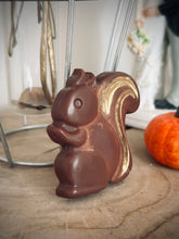 Charger l'image dans la galerie, Fondant Écureuil marron et doré / Parfums au choix