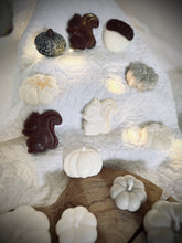 Charger l'image dans la galerie, Fondant Écureuil marron / Parfums au choix