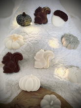 Charger l'image dans la galerie, Fondant Citrouille blanche / Parfums au choix