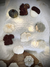 Charger l'image dans la galerie, Fondant Citrouille grise / Parfums au choix