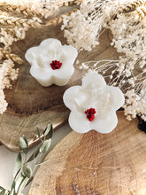 Charger l'image dans la galerie, Fondants Fleuris / Parfum Coquelicot