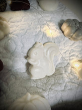 Charger l&#39;image dans la galerie, Fondant Écureuil blanc / Parfums au choix
