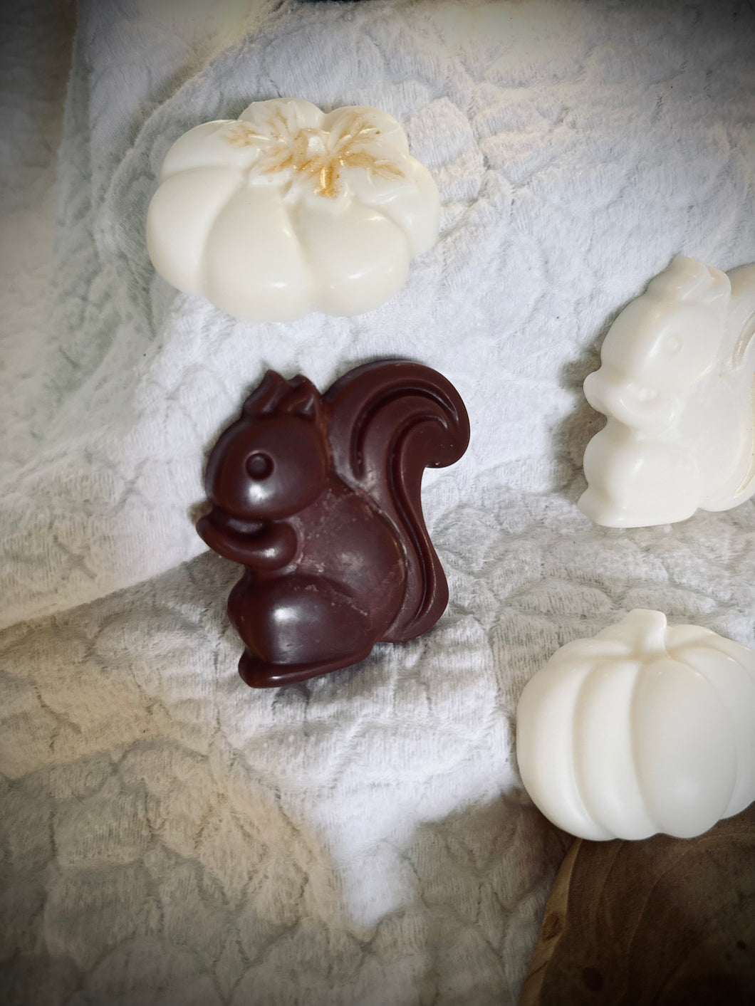 Fondant Écureuil marron / Parfums au choix