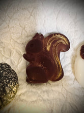 Charger l&#39;image dans la galerie, Fondant Écureuil marron et doré / Parfums au choix
